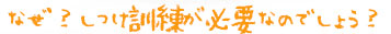 なぜ？しつけ訓練が必要なのでしょう？