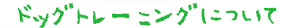 ドッグトレーニングについて